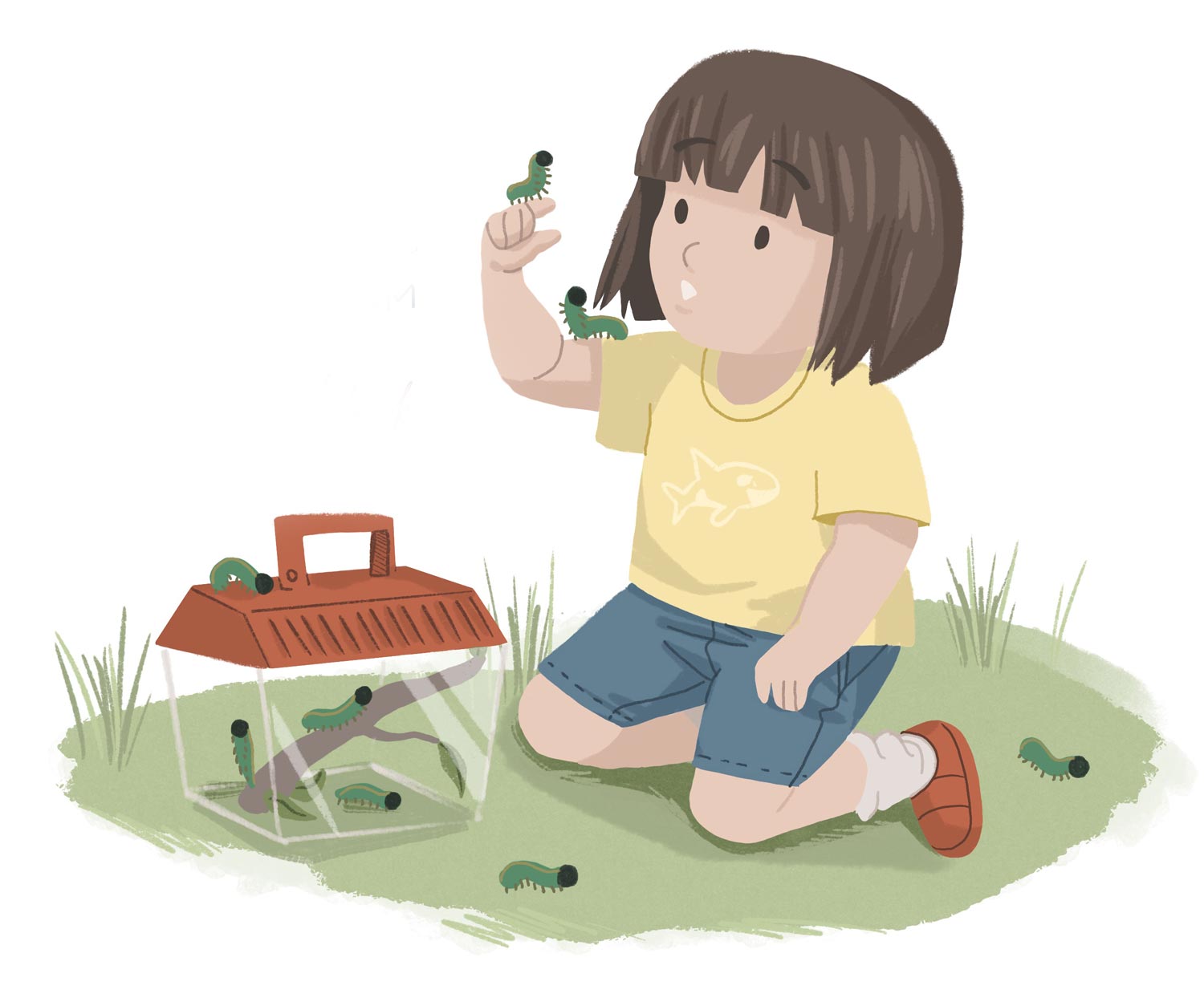 Illustration of a young girl collecting caterpillars