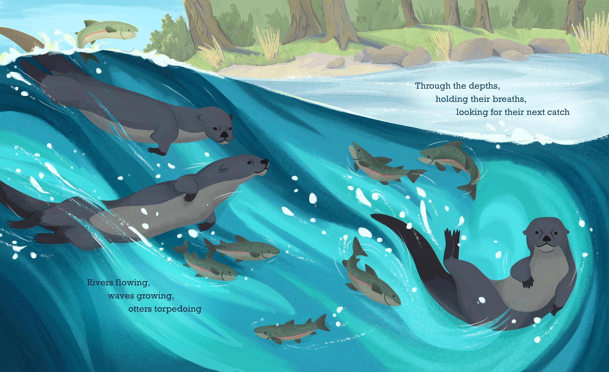 An illustration of otters swimming underwater with several trout